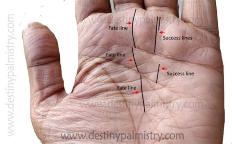 lottery winning signs in palmistry|Lottery Win Signs and Marks on the Palm .